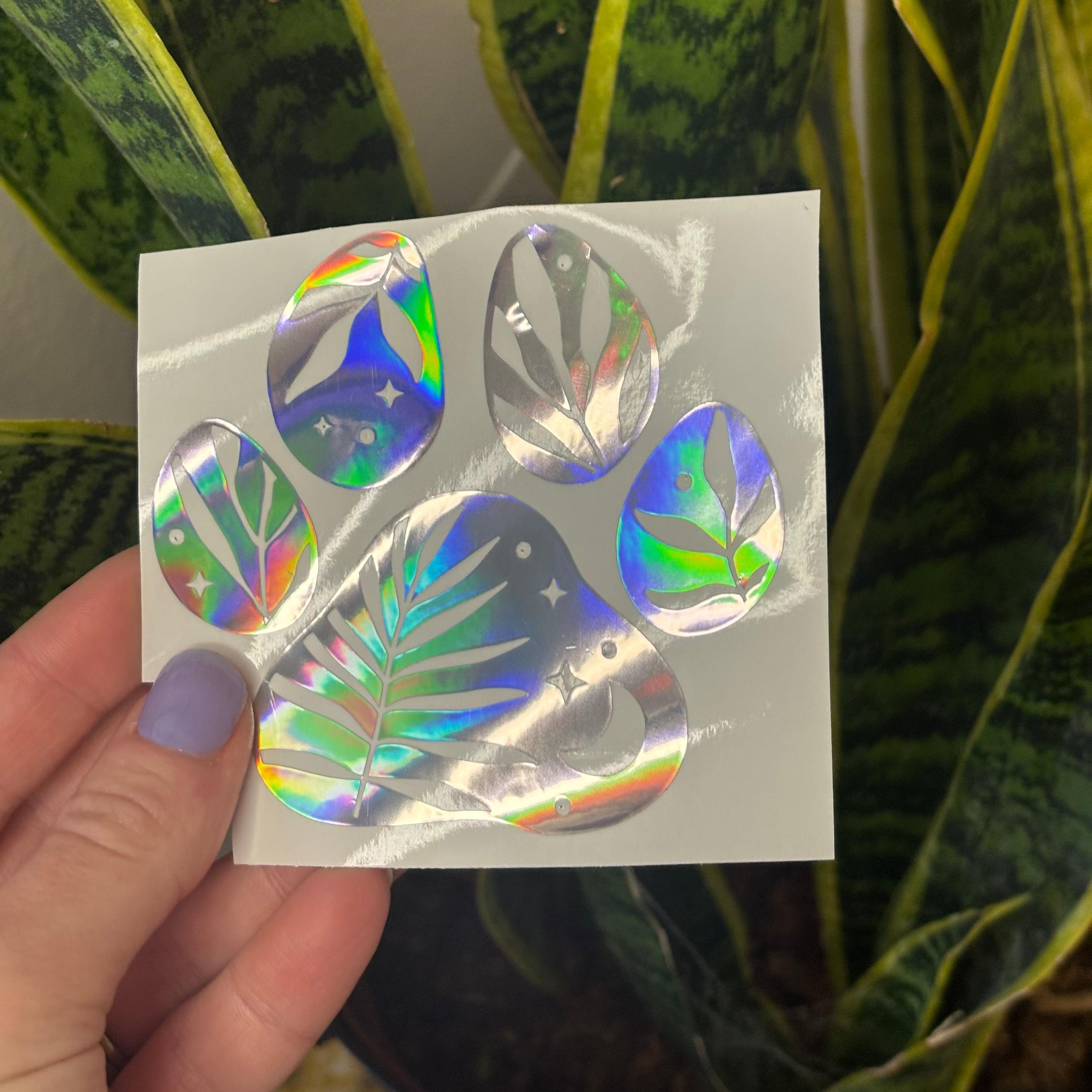 Holographic Paw Print Leaf Vinyl Decal – 4.25” Boho Plant-Inspired Sticker ✨🐾